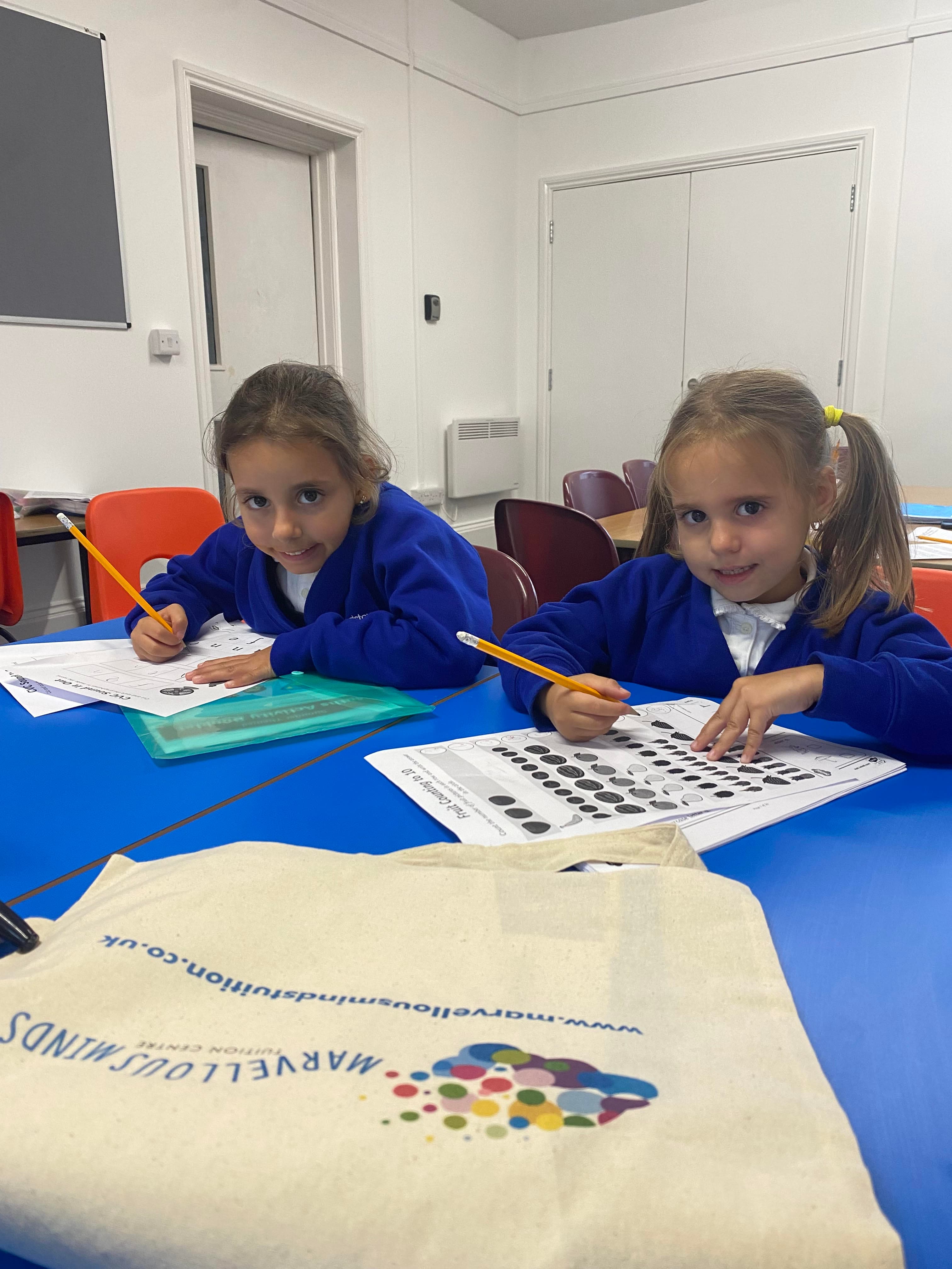 Marvellous Minds Tuition